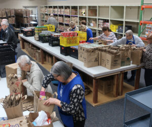2019-01-08-bagging-15-cropped-scaled
